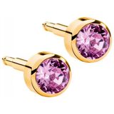 Nina Gold Rose Küpe 12 Çift