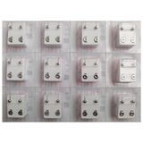 Nina Kulak Delme Küpesi White Shape Assorted 12'li