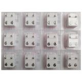 Nina Kulak Delme Küpesi White Shape Assorted 12'li