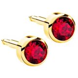 Nina Küpe Gold Ruby 12'li