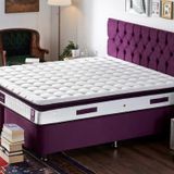 Niron Purple 200x200 cm Tek Kişilik Yatak Baza Başlık Takımı