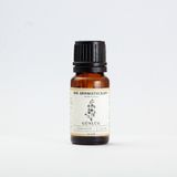 Nis Aromaterapi Akgünlük Uçucu Yağı 10 ml
