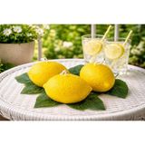 Nish Candles Limon Mum Dekor 3'lü Set, Limon Kokulu Dekoratif Mum, Yazlık & Bahar Ev Balkon Masa Süsü - 1