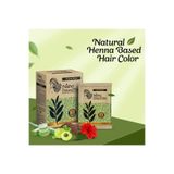nishA NATURE MATE 6x10g Zarf Saç Beyaz Kapatıcı Hindistan Kınası SİYAH Orjinal Kına,Fırcası Hediyeli