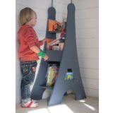 Nitelik Paris Lake Montessori Kitaplık