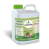 Nitroverm %100 Organik Konsantre Sıvı Solucan Gübresi 5L