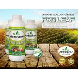 Nitroverm %100 Organik Konsantre Sıvı Solucan Gübresi