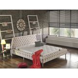 Niva Baza Çift Kişilik Baza Başlık Chester Set Havuzlu Sandıksız Krem - 140 x 200 cm