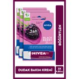 NIVEA Böğürtlen Renkli Dudak Bakım Kremi, Nemlendirici, Hafif Bordo Işıltı, Dudak Parlatıcısı, X3 Adet