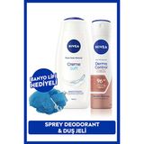 Nivea Creme Soft Duş Jeli 500ml ve Kadın Sprey Deodorant Derma Control Clinical 150ml, Banyo Lifi Hediye