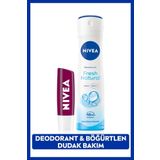 Nivea Kadın Sprey Deodorant Fresh Natural 150ml 48 Saat Koruma ve Nemlendirici Böğürtlen Dudak Bakım Kremi