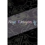 Niye Kasıyon Ki ? 20X5CM Jdm Araba-Motor-Laptop Hologram Seçenekli Etiket Sticker Etiketçiler Için Özel Yazı Sticker - 20x5 Cm