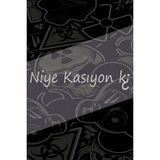 Niye Kasıyon Ki ? 20X5CM Jdm Araba-Motor-Laptop Hologram Seçenekli Etiket Sticker Etiketçiler Için Özel Yazı Sticker - Gri - 20x5 Cm