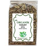 Nk Organik Yoğurt Otu 50GR - 1 Adet