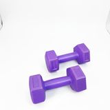 NK Spor 1KG Dambıl (Dumbbell) Ağırlık Antrenman - Güç Ağırlığı - Spor - Egzersiz - Ağırlık Seti-Fitness-Gym-Evde Spor Mor
