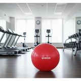 NK Spor 55CM Pilates Topu Kırmızı
