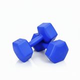 NK SPOR 5kg Dambıl (Dumbbell) Ağırlık Antrenman - Güç Ağırlığı- Egzersiz - Ağırlık Seti-Fitness-Gym-Evde Spor