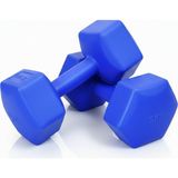 NK SPOR 5kg Dambıl (Dumbbell) Ağırlık Antrenman - Güç Ağırlığı - Spor - Egzersiz - Ağırlık Seti-Fitness-Gym-Evde Spor - 5 kg x 2 Adet - Mavi