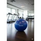 NK Spor 65CM Pilates Topu-Jimnastik Topu-Spor - Egzersiz - Pilates - Fitness - Yoga - Esneme - Esneklik - Meditasyon-Evde Spor Mavi
