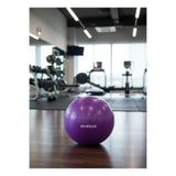 NK Spor 65CM Pilates Topu-Jimnastik Topu-Spor - Egzersiz - Pilates - Fitness - Yoga - Esneme - Esneklik - Meditasyon-Evde Spor Mor