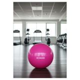 NK Spor 75CM Pilates Topu-Jimnastik Topu-Spor - Egzersiz - Pilates - Fitness - Yoga - Esneme - Esneklik - Meditasyon-Evde Spor Pembe