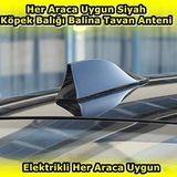 Nkt Group Elektrikli Her Araca Uygun Siyah Shark Köpek Balığı Balina Tavan Anteni E.M.