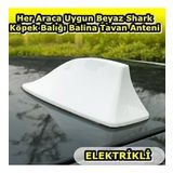 Nkt Group Her Araca Uygun Beyaz Shark Köpek Balığı Balina Tavan Anteni