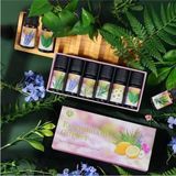 N&M Store 6'lı Ekonomik Esansiyel Uçucu Yağ Seti Buhardanlık ve Difüzör Oda Kokusu Aroma Terapi Seti