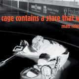 no cage contains a stare that well