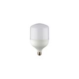 Noas 20W 6500K Beyaz Işık Led Torch Ampul