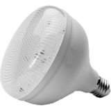 Noas 30W Krıstal Torch Ampul Beyaz - Beyaz - Sarı - Günışığı - 1 - 10 W