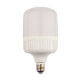 Noas 30W Smd LED Ampül E27 Duy 2700 Lm Günışığı Işık YL95-3001 - Gün Işığı