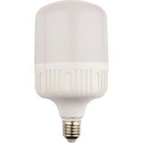 Noas 30W SMD Led Beyaz Ampul