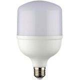 Noas 30W Torch Led Beyaz Ampul