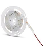Noas YL40-4002 5 mt 12V 3200K Günışığı 4040 60 Led İç Mekan Şerit Led