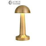 Noas Yl86 1230 Atina Şarjlı Gold Masa Lambası 3 Renk