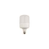 Noas YL95-2001 20W E27 6500K Beyaz Led Torch Ampul