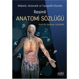 Nobel Tıp Kitabevi Resimli Anatomi Sözlüğü Mehmet Yıldırım Türkçe Eğitim Düzeyi Normal Boy