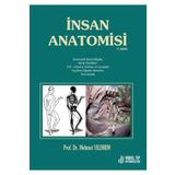 Nobel Tıp Kitabevleri İnsan Anatomisi 11. Baskı