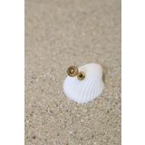 NOBLE GETTO Piercing Cerrahi Çelik Piercing Etnik Kıkırdak Tragus Conch Helix Gold Renk Çizgili Etnik