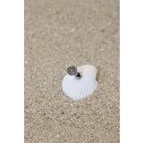 NOBLE GETTO Piercing Cerrahi Çelik Piercing Etnik Kıkırdak Tragus Conch Helix Silver Renk Çizgili Etnik