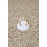 NOBLE GETTO Piercing Cerrahi Çelik Piercing Halka Kıkırdak Septum Tragus Conch Helix Gold Renk Spayk Halka