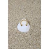 NOBLE GETTO Piercing Cerrahi Çelik Piercing Halka Kıkırdak Septum Tragus Conch Helix Gold Renk Top Çap 2,50 Mm