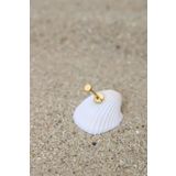 NOBLE GETTO Piercing Cerrahi Çelik Piercing Kıkırdak Tragus Conch Helix Gold Renk 3 Mm Disk Labret