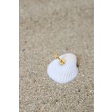 NOBLE GETTO Piercing Cerrahi Çelik Piercing Kıkırdak Tragus Conch Helix Gold Renk 3 Mm Yıldız Labret