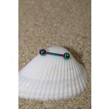 NOBLE GETTO Piercing Cerrahi Çelik Piercing Kıkırdak Tragus Conch Helix Nipple Gökkuşağı Renk Top Çap 4 Mm Toplu