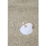 NOBLE GETTO Piercing Cerrahi Çelik Piercing Kıkırdak Tragus Conch Helix Rose Renk 3 Mm Yıldız Labret