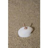 NOBLE GETTO Piercing Cerrahi Çelik Piercing Kıkırdak Tragus Conch Helix Rose Renk Küp 2 Mm Labret