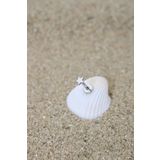NOBLE GETTO Piercing Cerrahi Çelik Piercing Kıkırdak Tragus Conch Helix Silver Renk 3 Mm Yıldız Labret