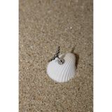 NOBLE GETTO Piercing Cerrahi Çelik Piercing Kıkırdak Tragus Conch Helix Silver Renk Yedi Top Labret